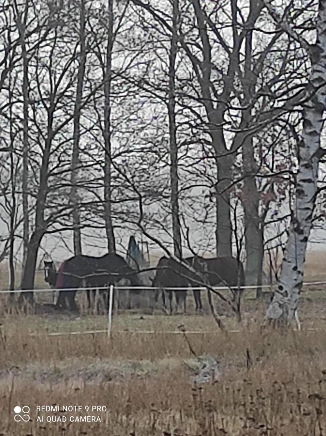 Villa Zakatek Zurawi 2 Świnoujście Esterno foto