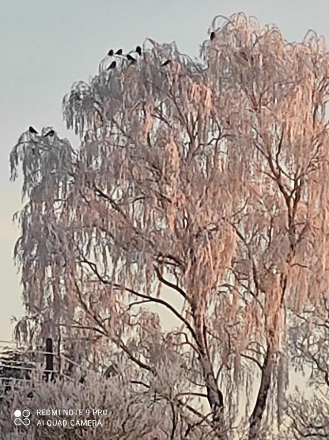 Villa Zakatek Zurawi 2 Świnoujście Esterno foto