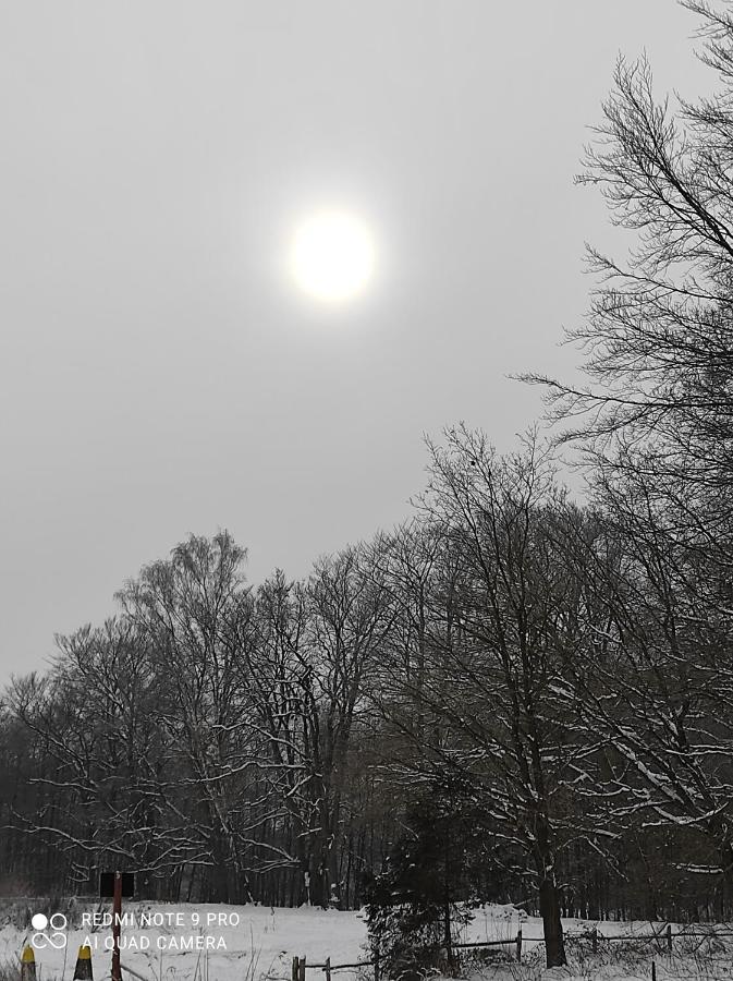 Villa Zakatek Zurawi 2 Świnoujście Esterno foto