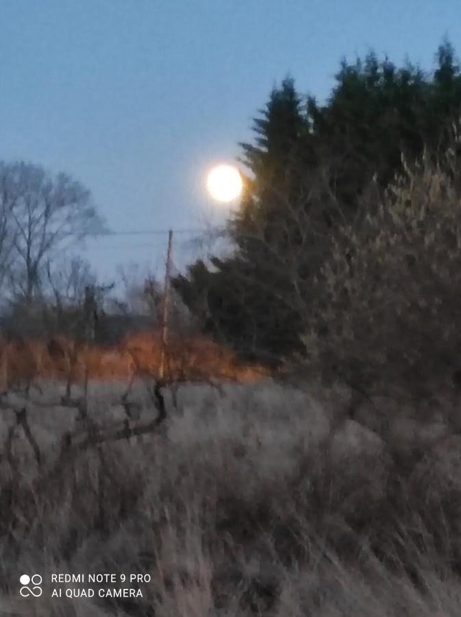 Villa Zakatek Zurawi 2 Świnoujście Esterno foto