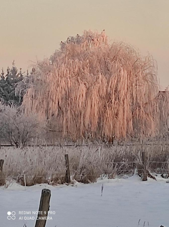 Villa Zakatek Zurawi 2 Świnoujście Esterno foto