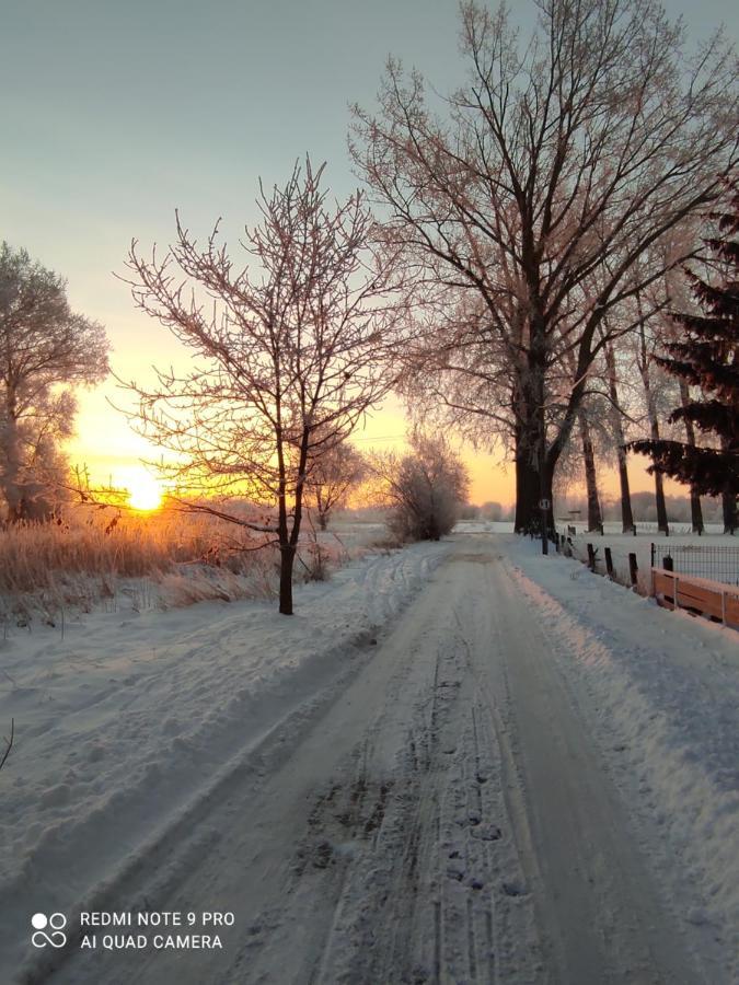 Villa Zakatek Zurawi 2 Świnoujście Esterno foto