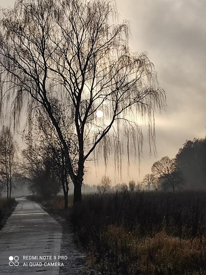Villa Zakatek Zurawi 2 Świnoujście Esterno foto